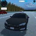 特斯拉汽车(Tesla City Drive Game - Protocol)