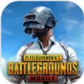 地铁逃生游戏国际服(PUBG MOBILE)