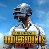 PUBG美国版