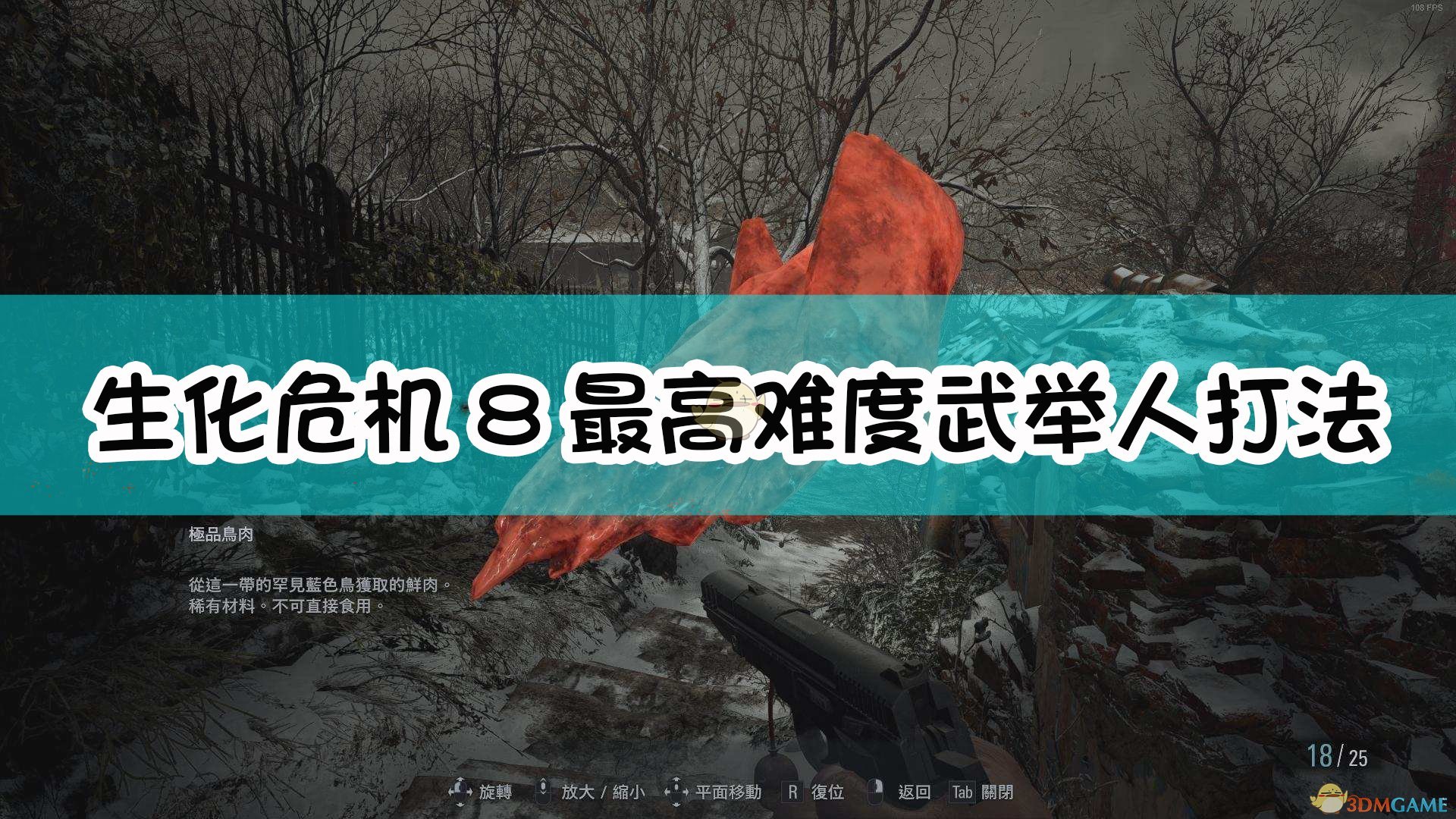 生化危机8村庄最高难度武举人打法详解