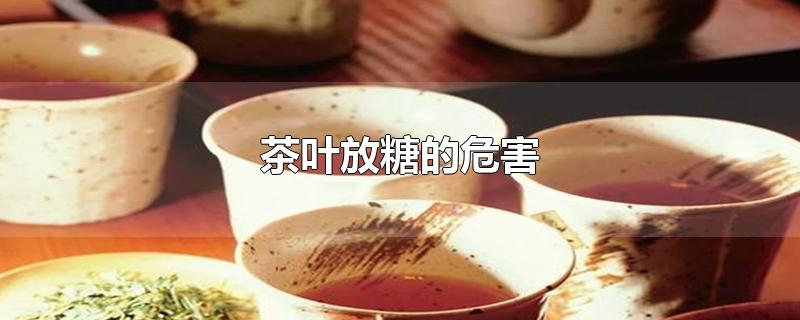 茶叶放糖的危害-最新茶叶放糖的危害整理解答