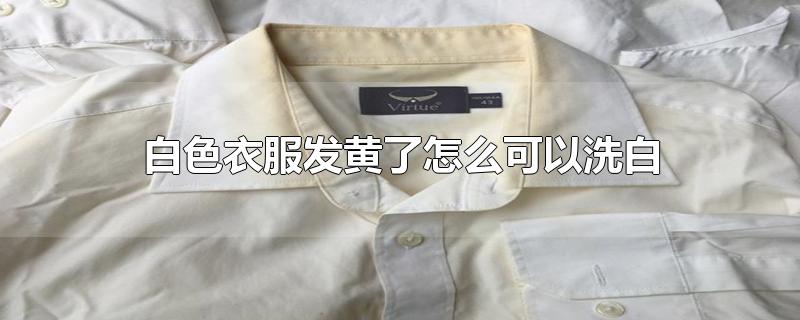 白色衣服发黄了怎么可以洗白-最新白色衣服发黄了怎么可以洗白整理解答