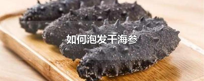 如何泡发干海参-最新如何泡发干海参整理解答