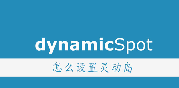 dynamicSpot怎么设置