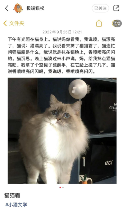 小猫文学梗出处含义